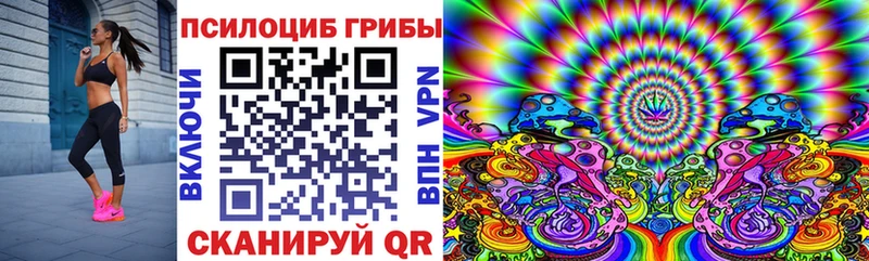 купить закладку  Качканар  Псилоцибиновые грибы прущие грибы 