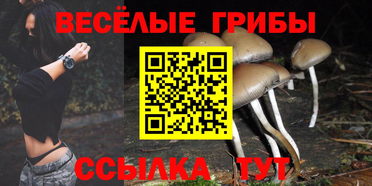 Псилоцибиновые грибы мицелий  Вход с VPN  Качканар  что такое наркотик  Псилоцибиновые грибы Magic Shrooms 